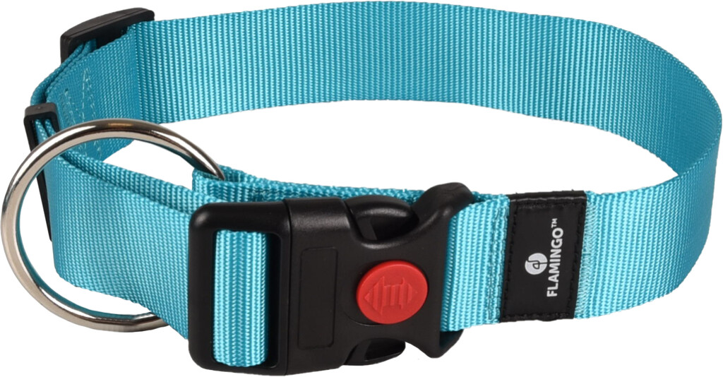 Halsband Ziggi Turquoise XL 55-75cm 40mm