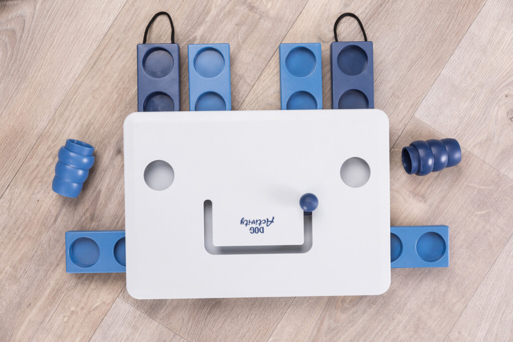 Dog Activity Strategiespel Move2Win