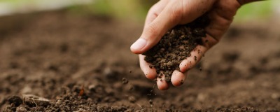 Amendement du sol 