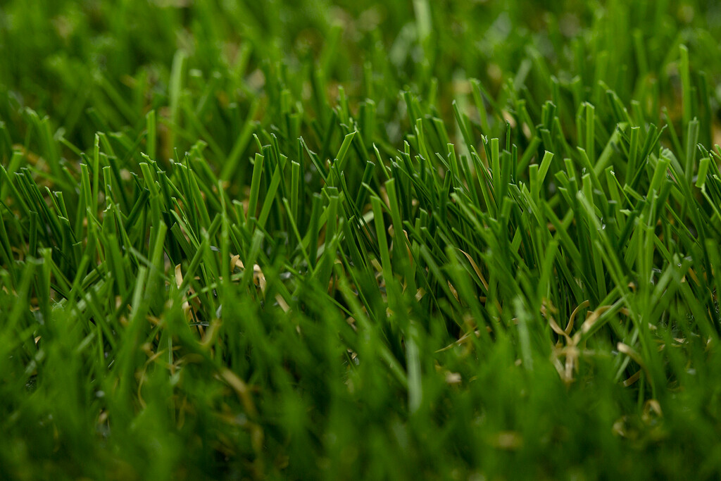 Bella coupon 2mx3m/pc