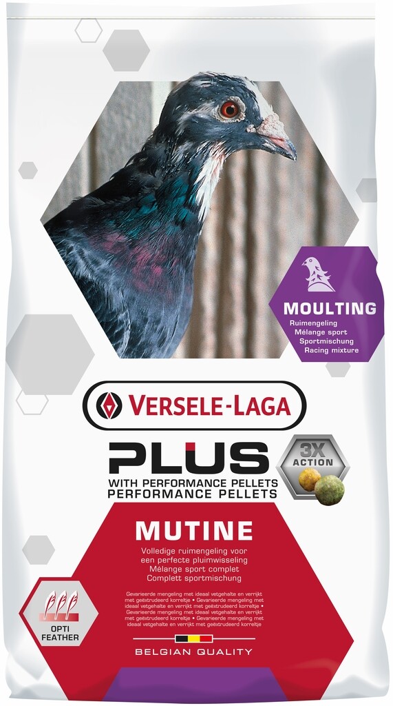 Mutine 20 kg