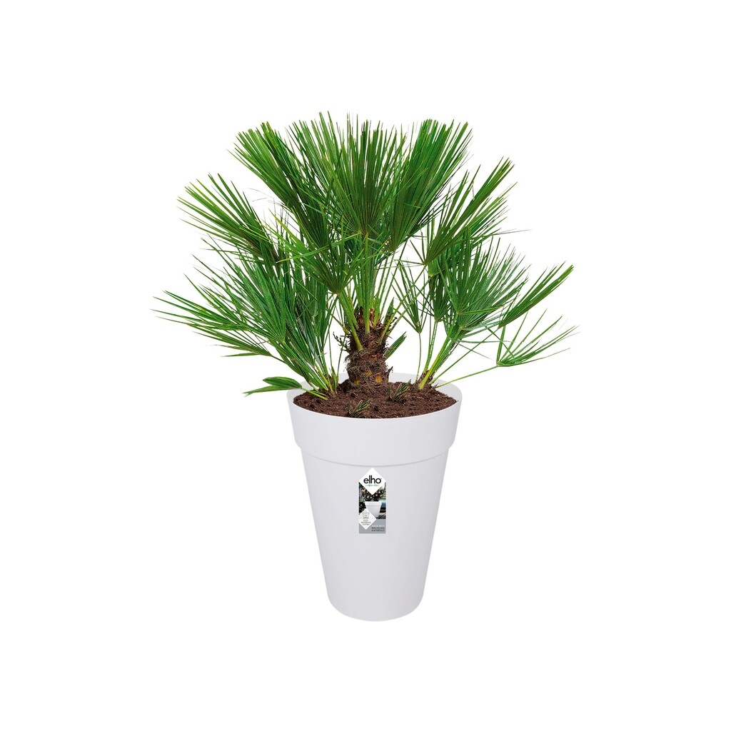 Loft Urban Rond Hoog 28cm wit Loft Urban Rond Hoog 28cm wit