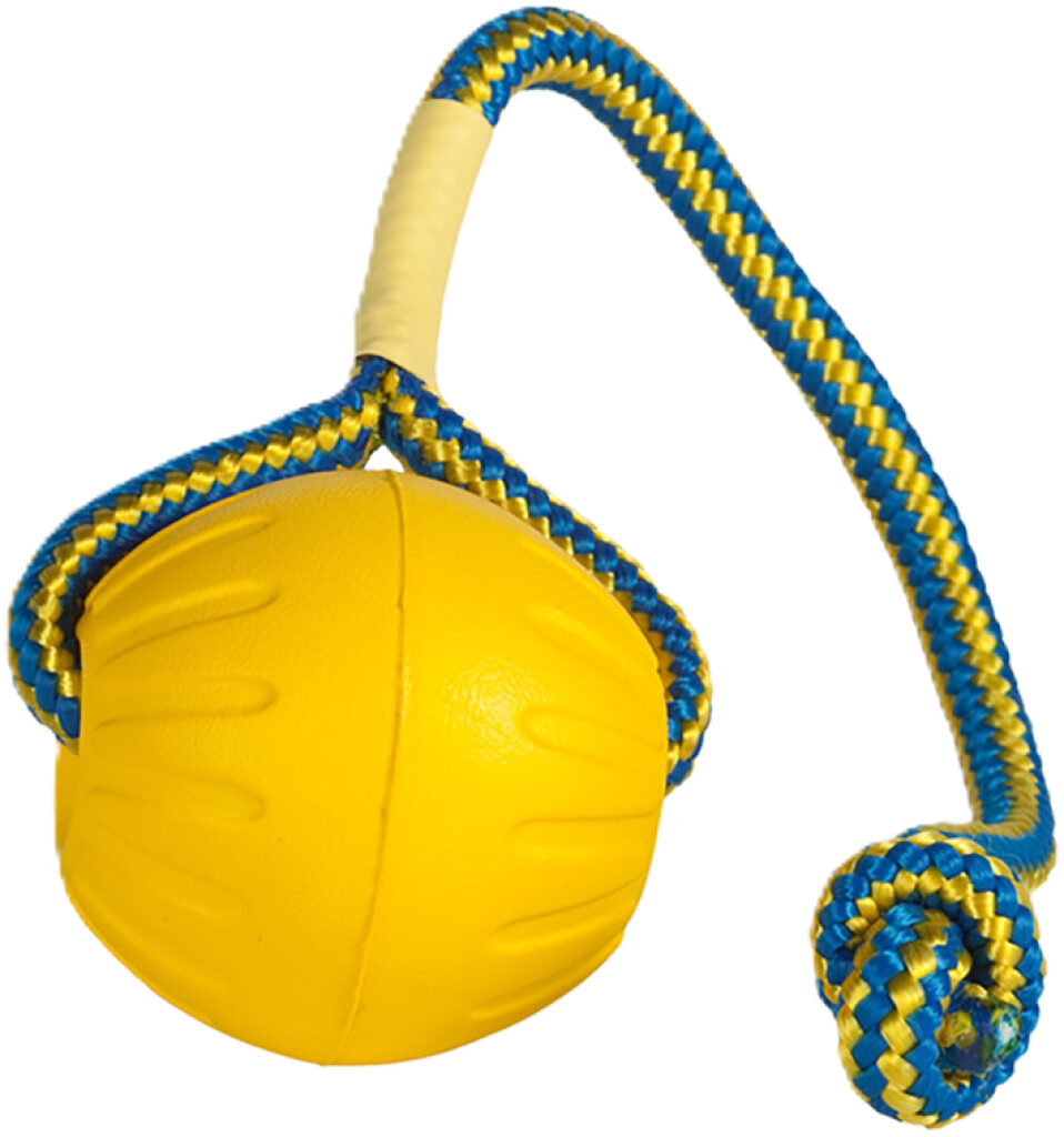 Swing n Fling Fetch Ball M