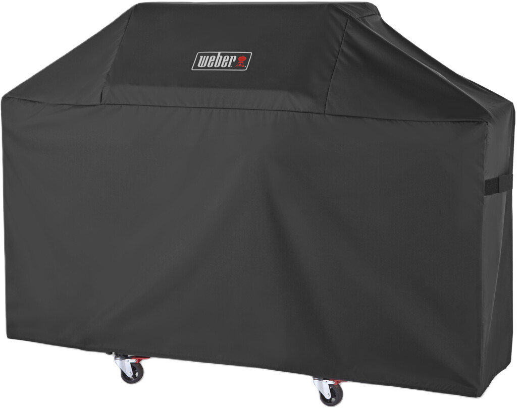Barbecuehoes Genesis 300 serie