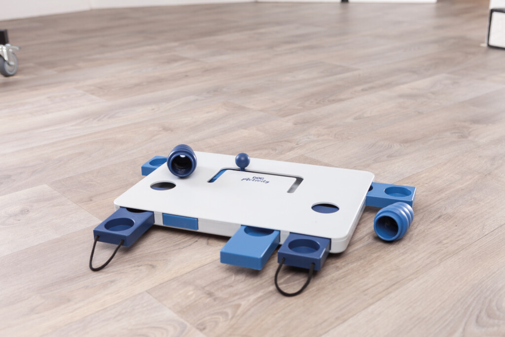 Dog Activity Strategiespel Move2Win