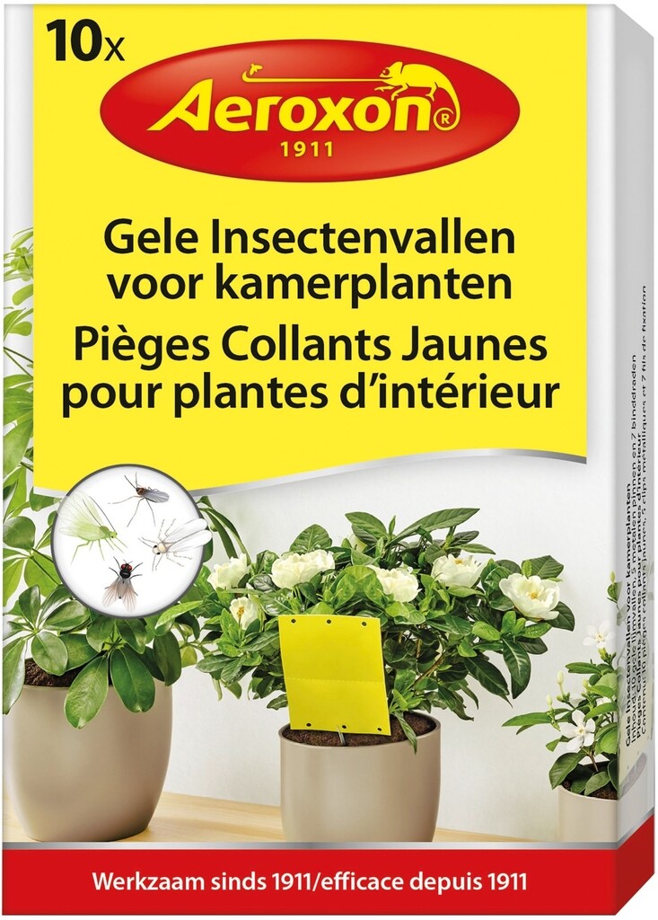 Piège collants 10 pièces Piège collants 10 pièces