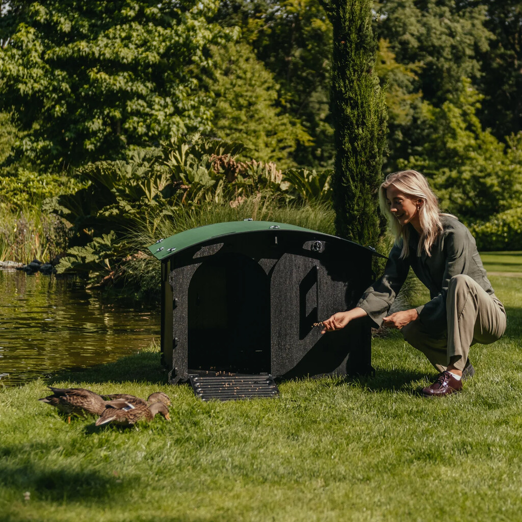 Abri pour canards et oies
