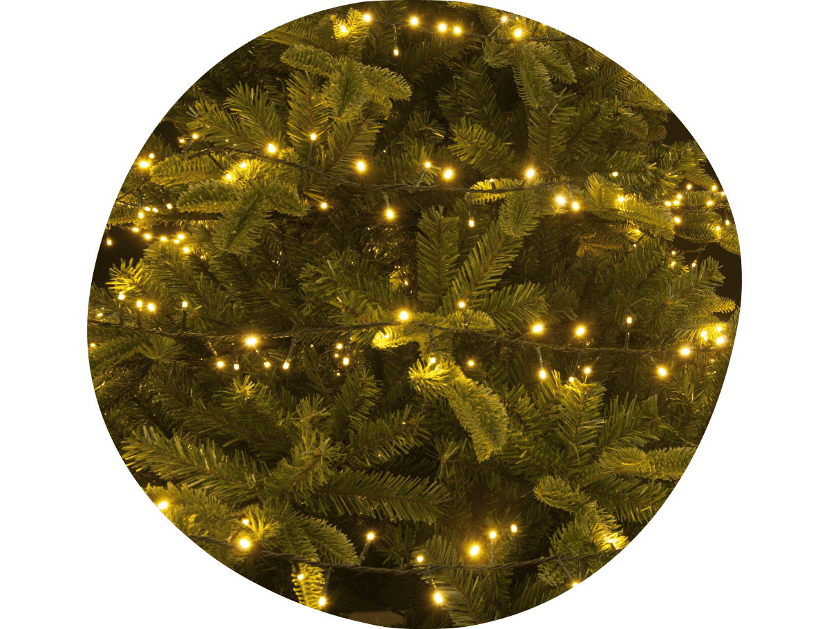 Kerstverlichting
