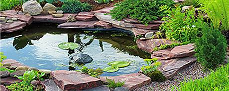 Een filter voor je vijver