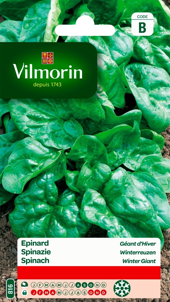 Spinazie Winterreuzen Spinazie Winterreuzen