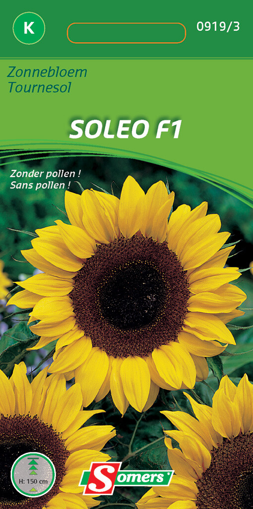 Zonnebloem Soleo F1 Zonnebloem Soleo F1