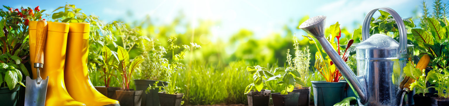 Un potager fertile Vruchtbare moestuin