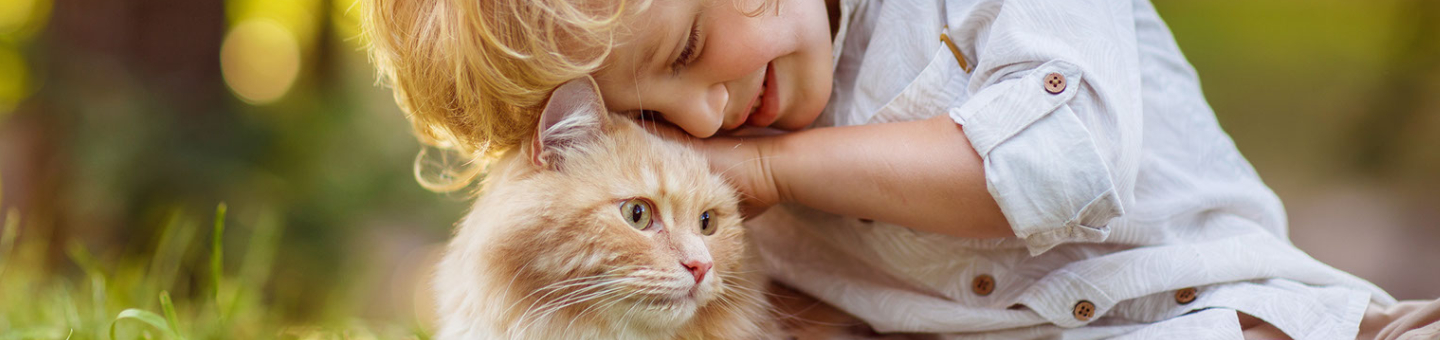 Gps tracker voor katten