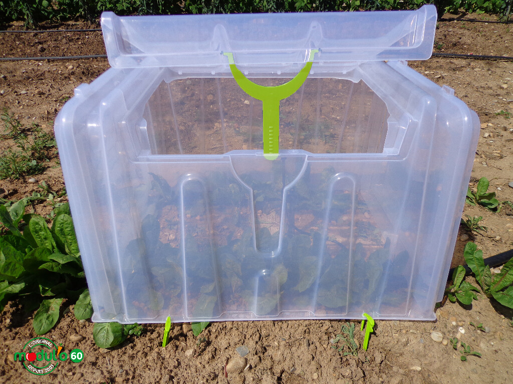 Kweektunnel Modul'o 60