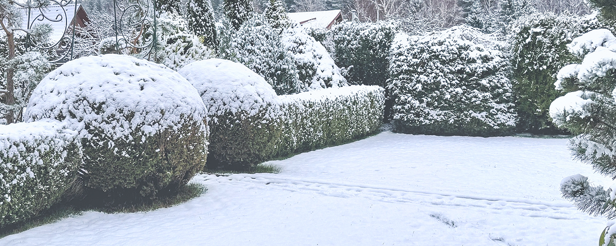 Neige au jardin : bonne ou mauvaise pour votre sol ?