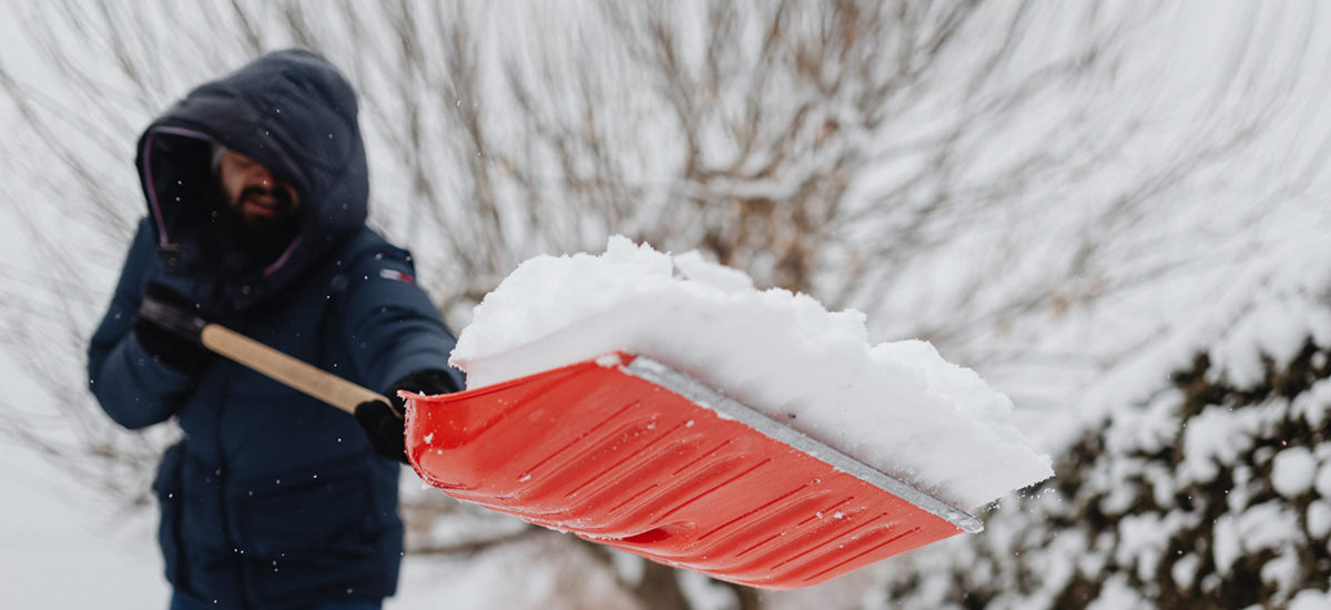 Que faire dans le jardin : décembre