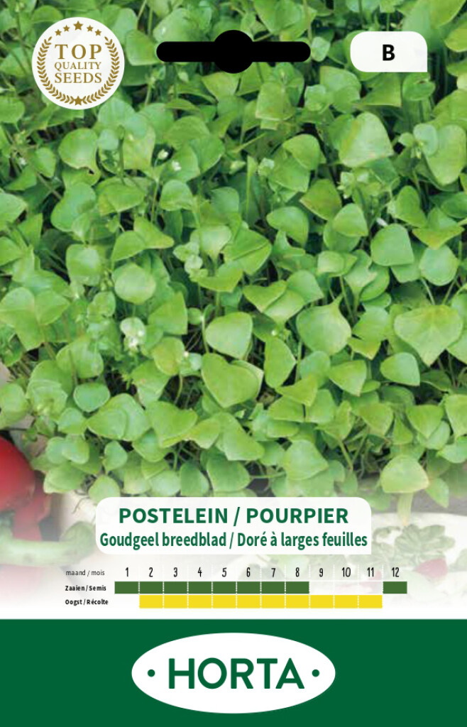Postelein goudgeel breedblad