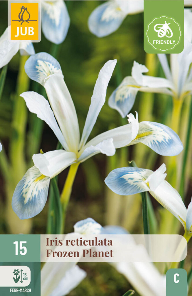 X15 Iris Frozen Planet 5/6