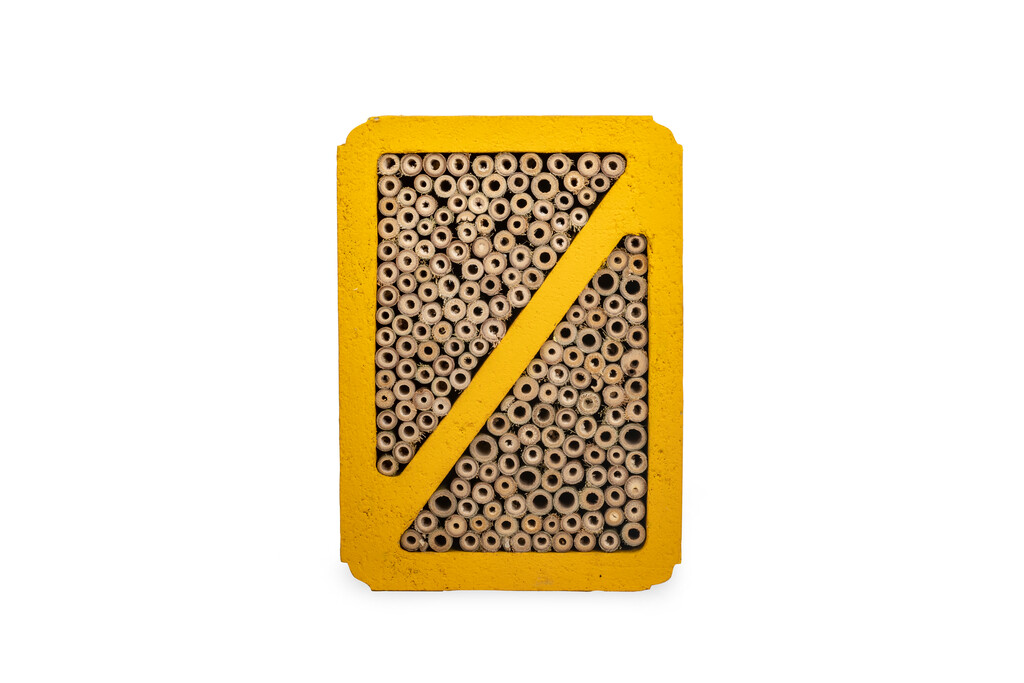 Hotel à insectes Salina jaune béton de bois