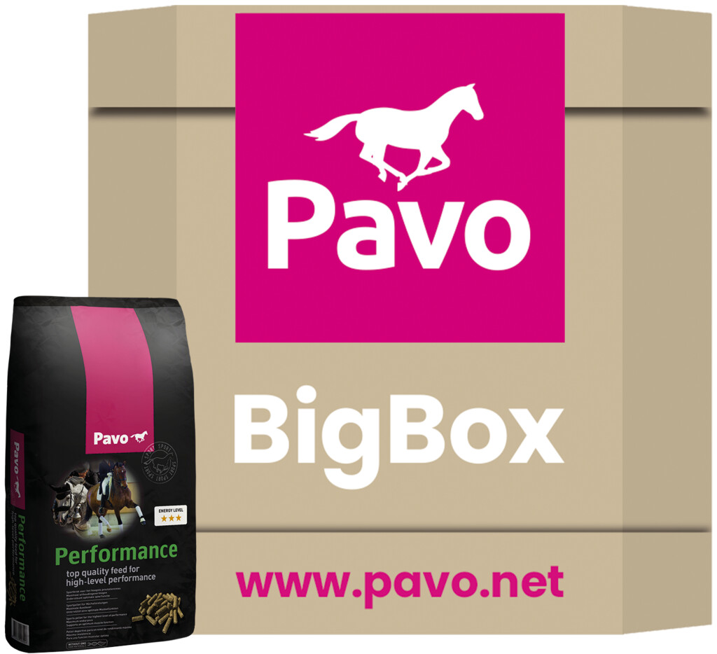 Performance Big Box 725kg