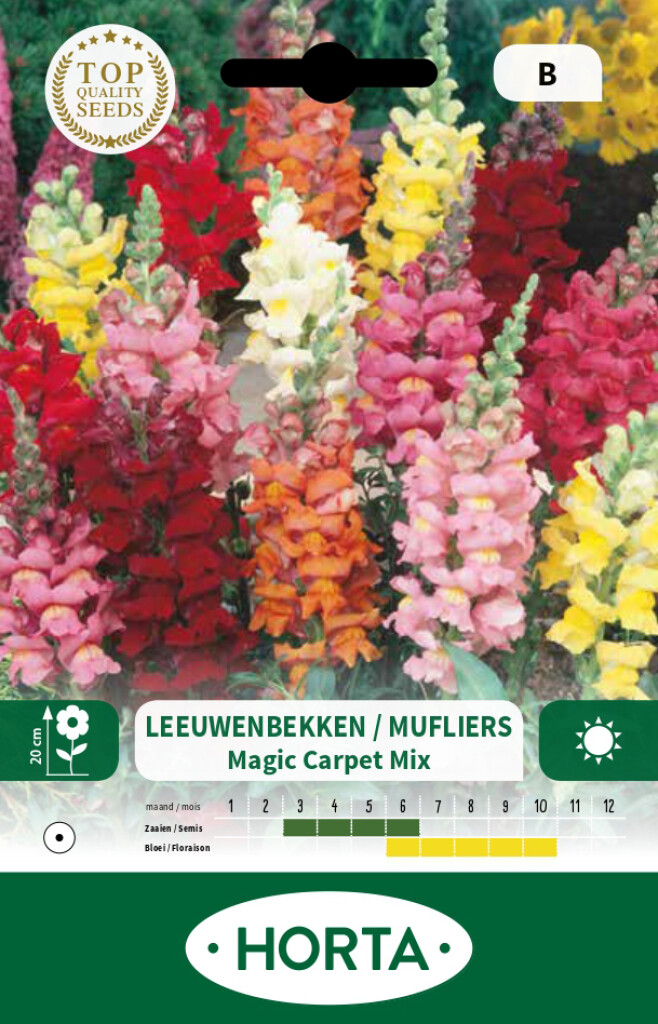 Antirrhinum (leeuwenbek) lage magic carpet gemengd