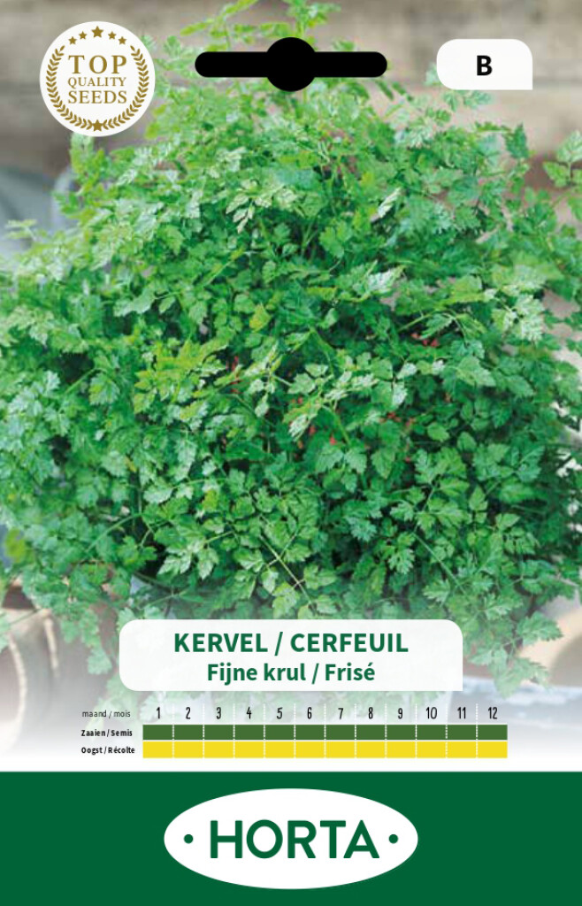 Kervel fijne krul
