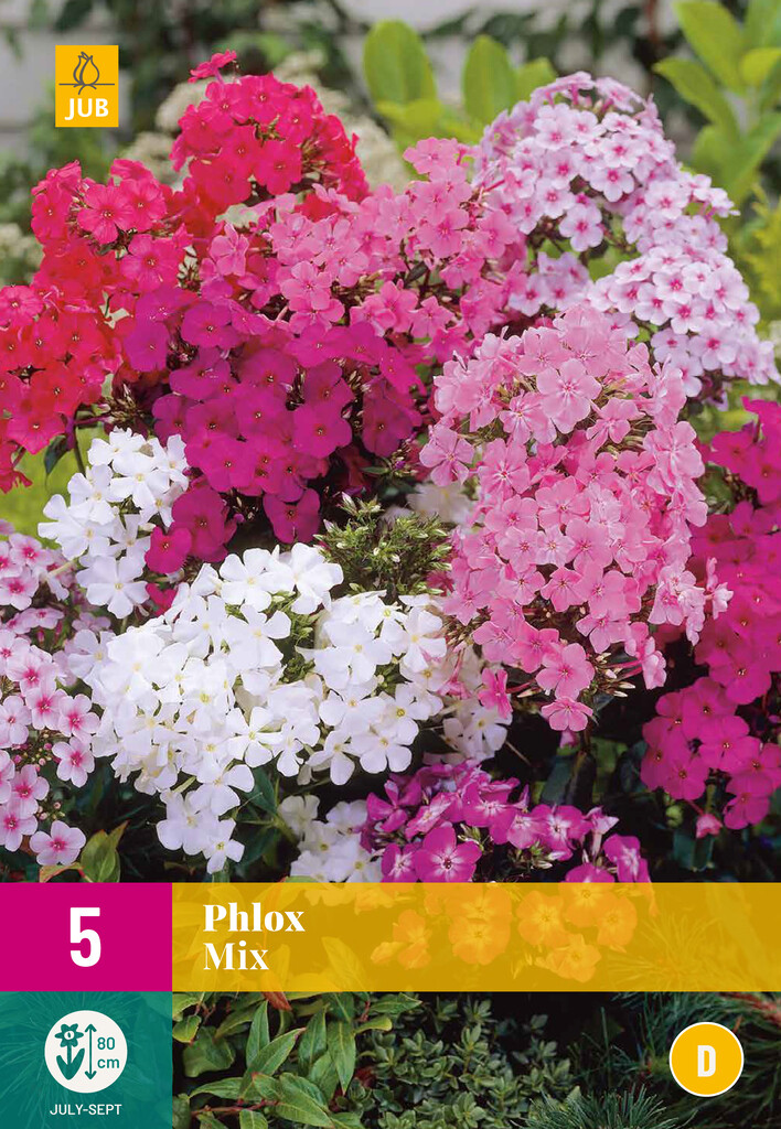 X5 Phlox Mix