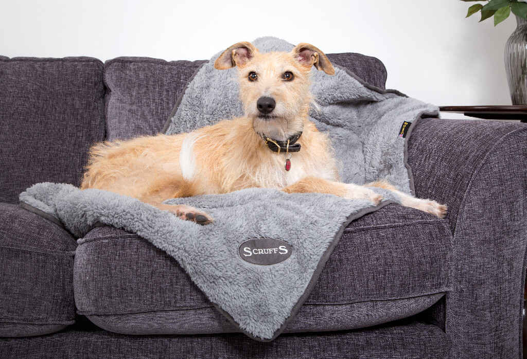 Couverture Cosy Chien Gris