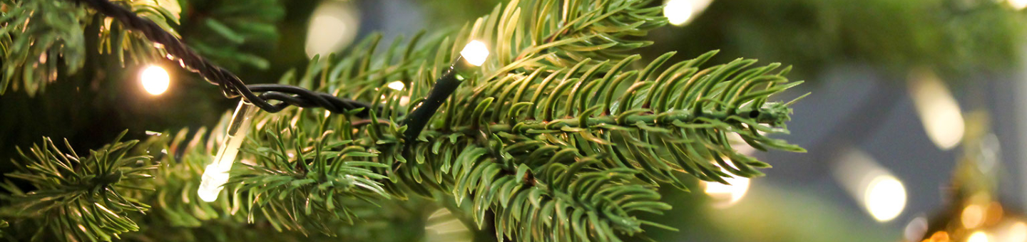 Hoeveel lichtjes in kerstboom Hoeveel lichtjes in kerstboom