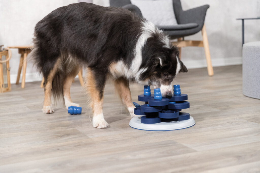 Dog Activity Strategiespel Flower Tower