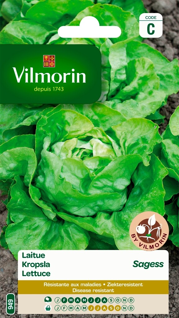 Laitue Sagess