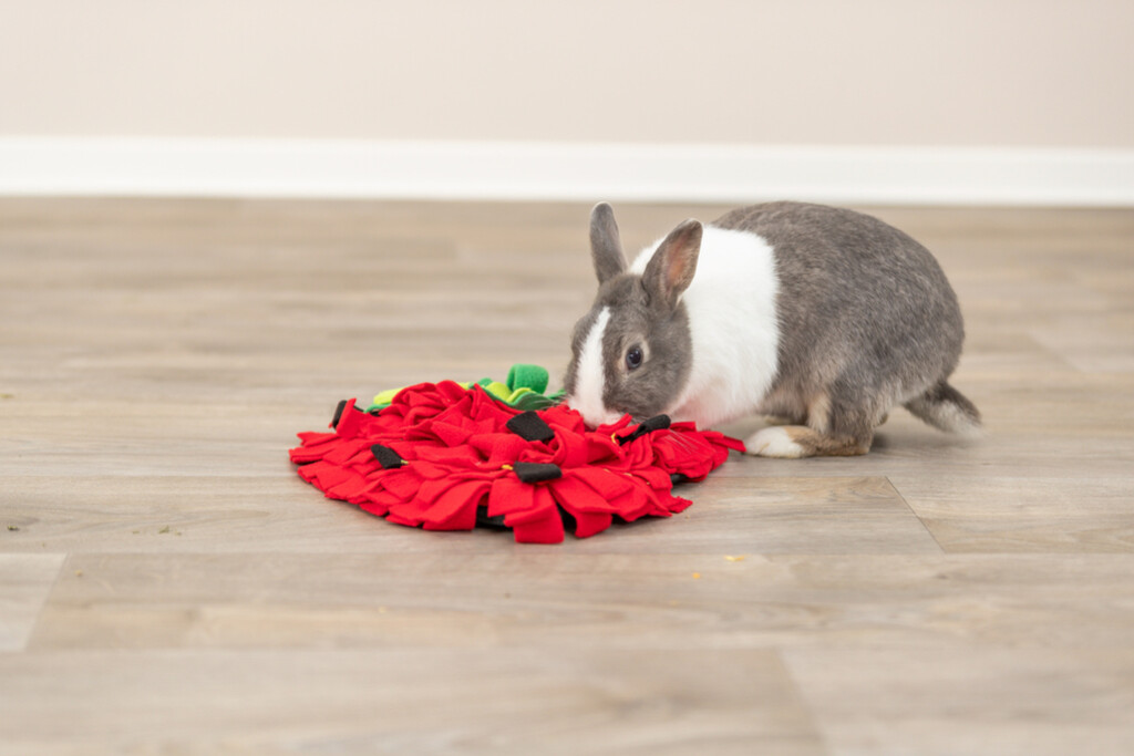 Snuffelmat aardbei, rood