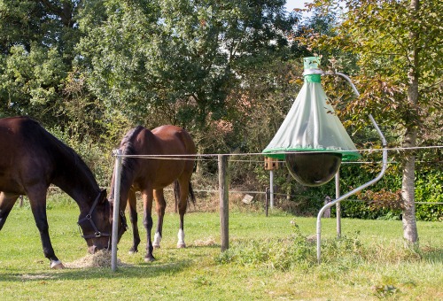 Piège a taons chevaux Piège a taons chevaux