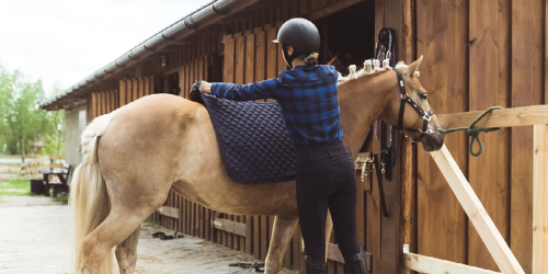 Paardendekens wassen Paardendekens wassen