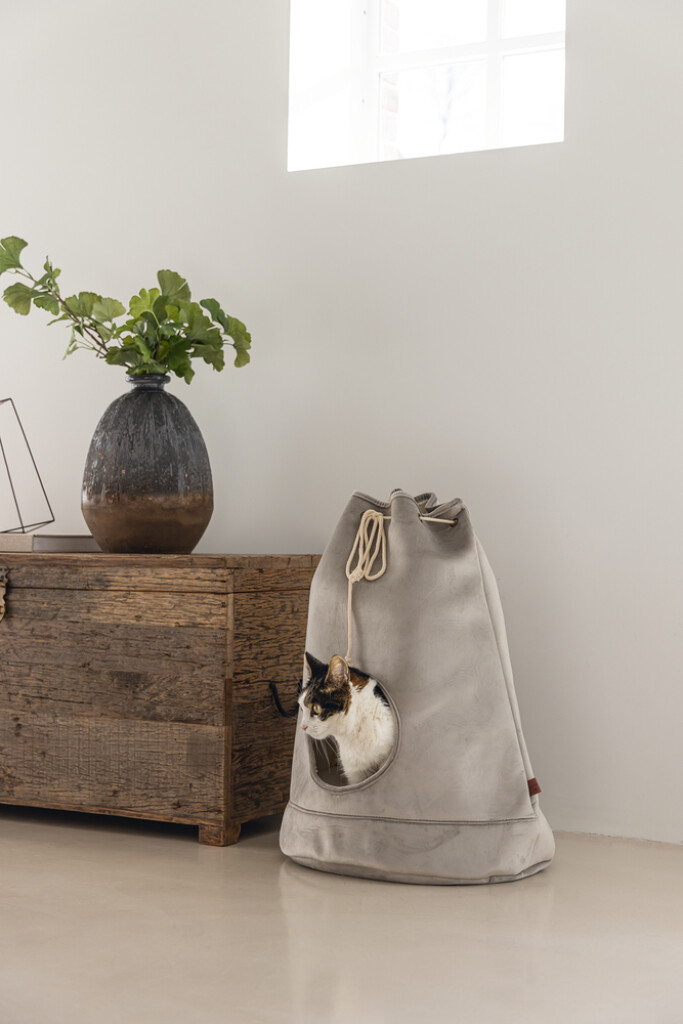 Maison Chat Vilar Gris 