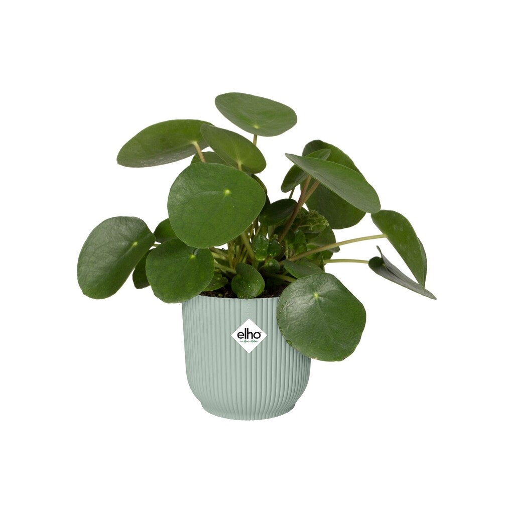 Bloempot Vibes Fold Rond 14cm sorbet groen