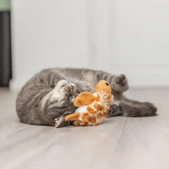 Jouets pour chats