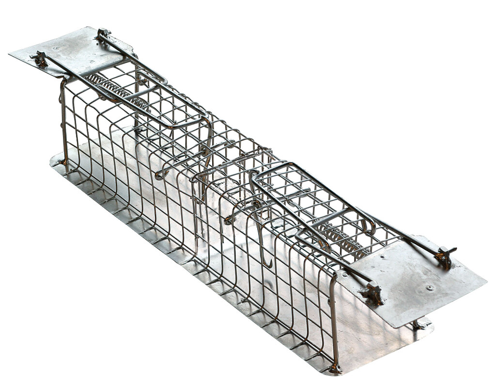 Cage à Souris 2 entrées