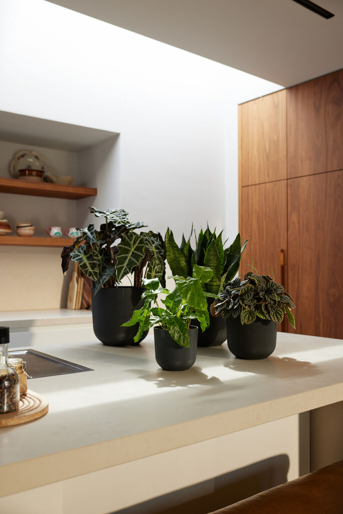 Jazz Rond 19cm zwart