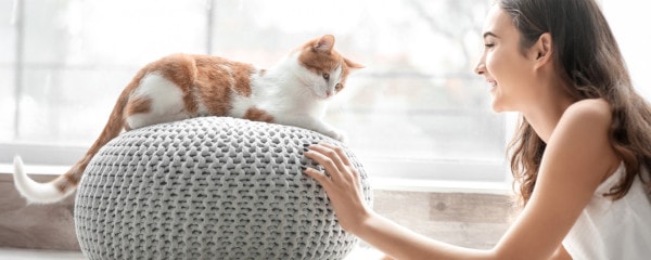 Als je kat kon spreken 