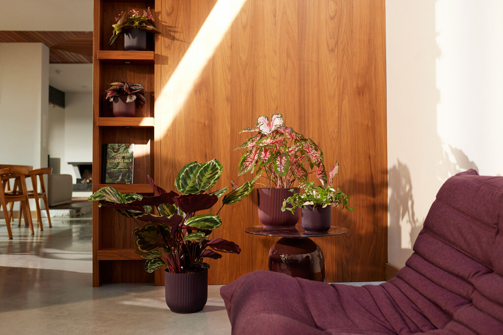 The Winery Collection Rond 16cm violet foncé