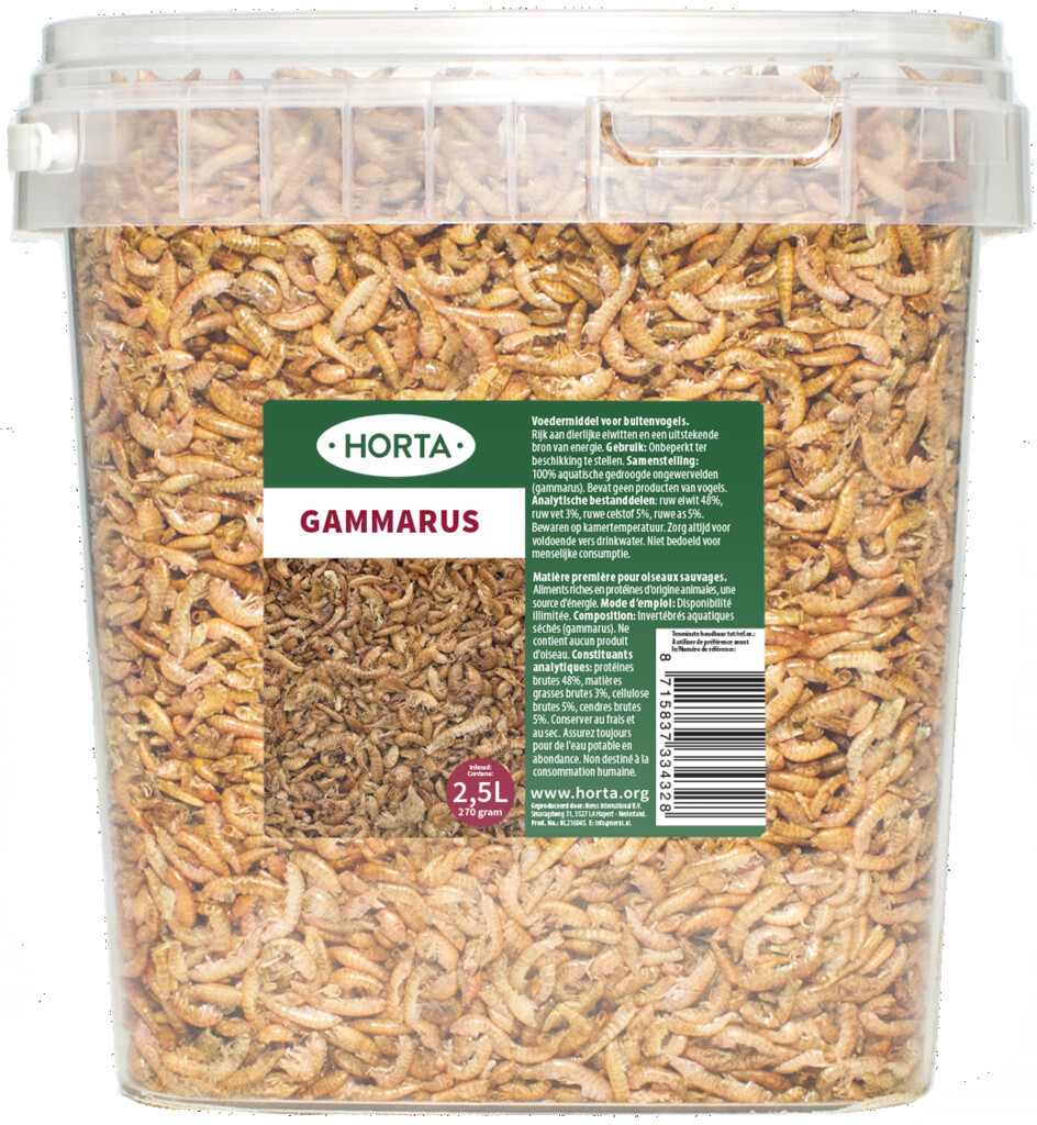 Gammarus 2,5L