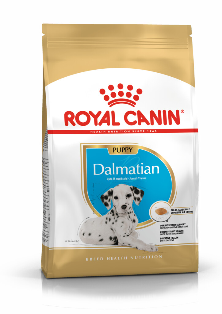 BHN Dalmatian puppy 12kg