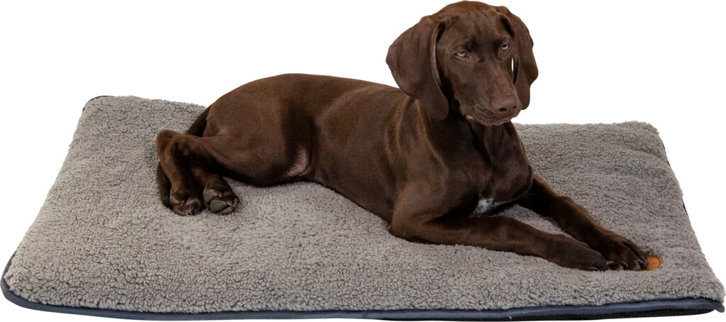 Brooklyn Benchkussen Grijs L