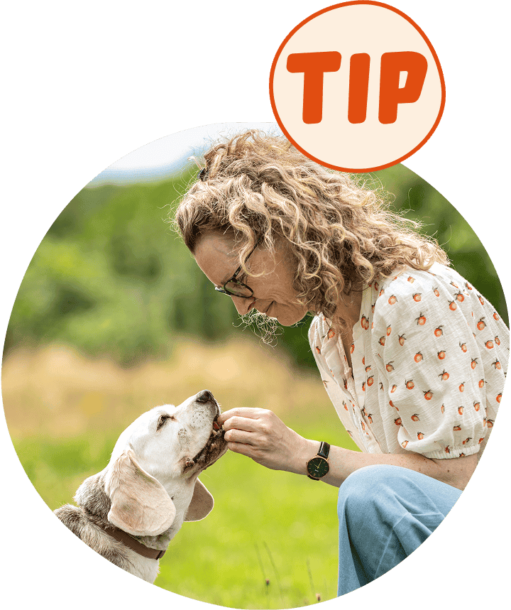 tip