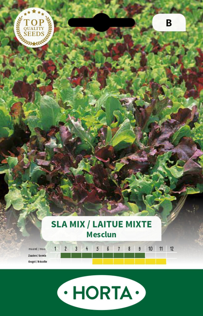 Mesclun saladegroenten mix