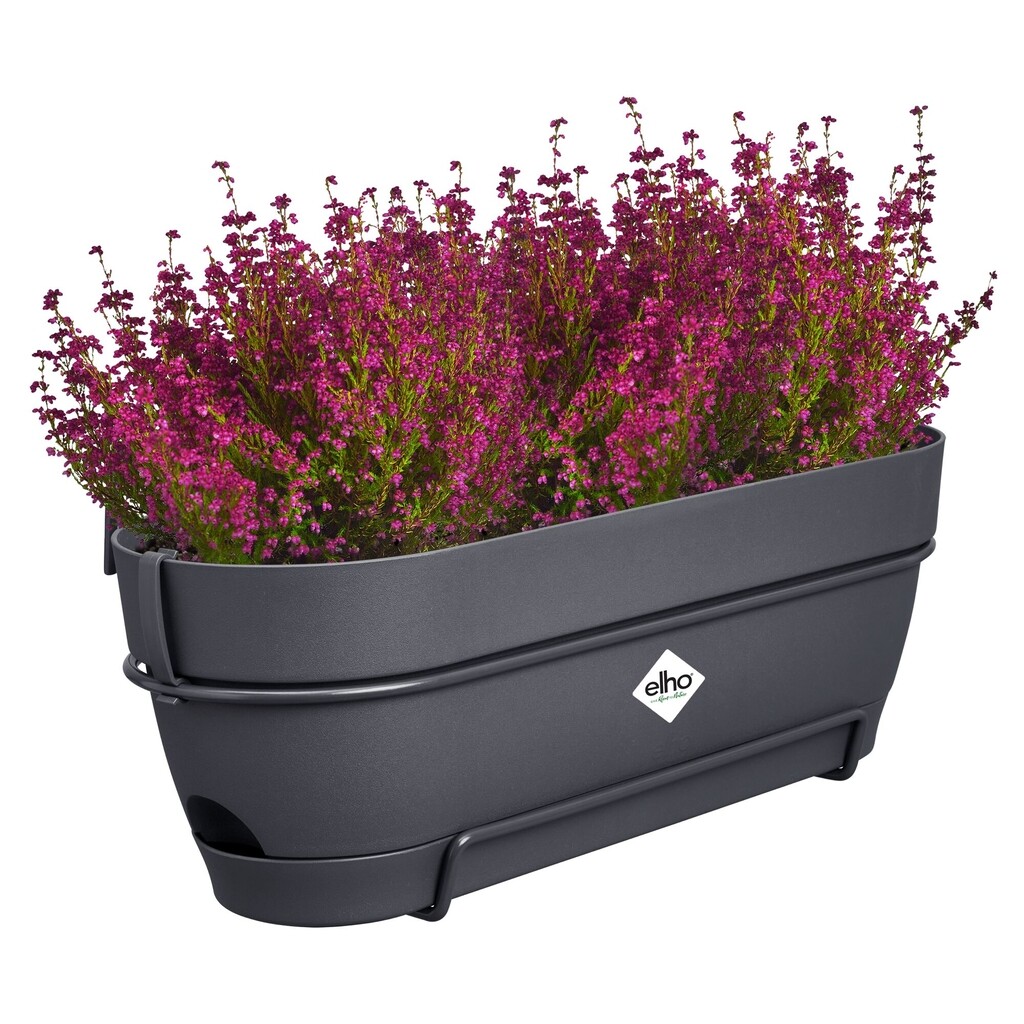 Vibia Campana Balkonbak Allin1 50cm antraciet