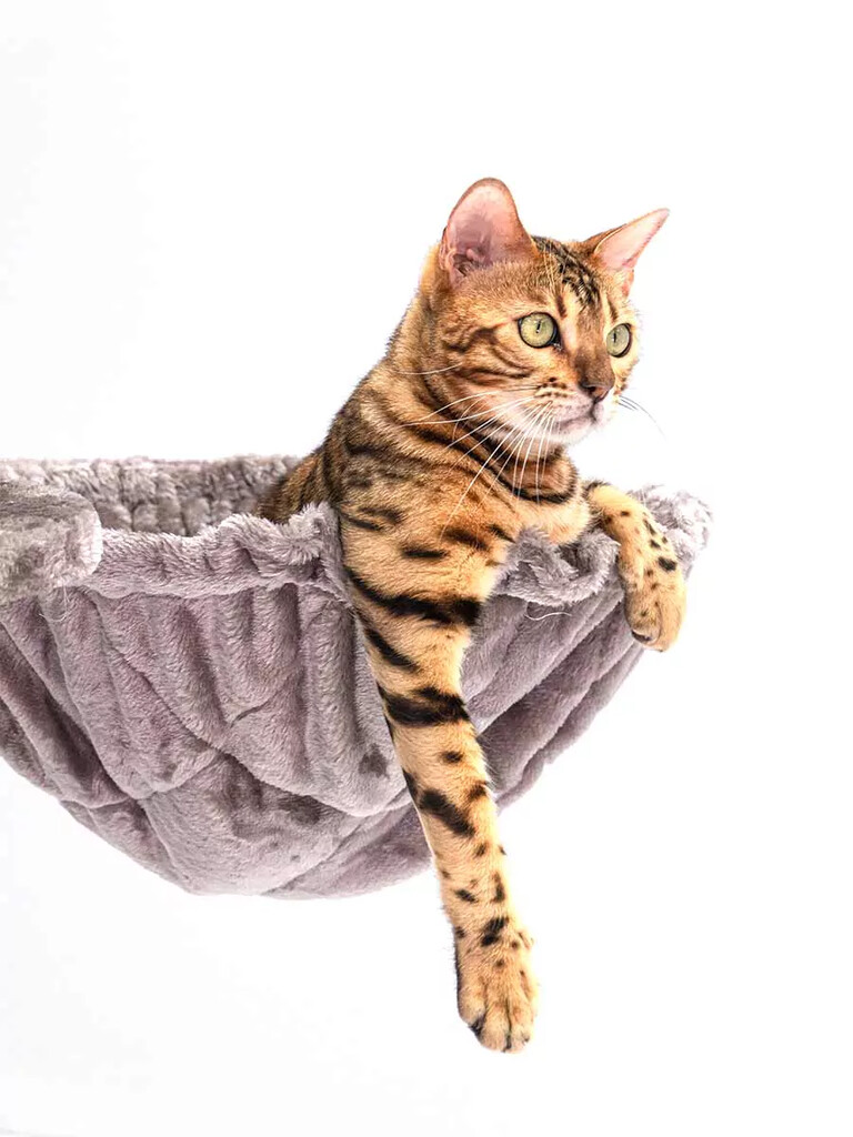 Krabpaal Isabella 210 Grey