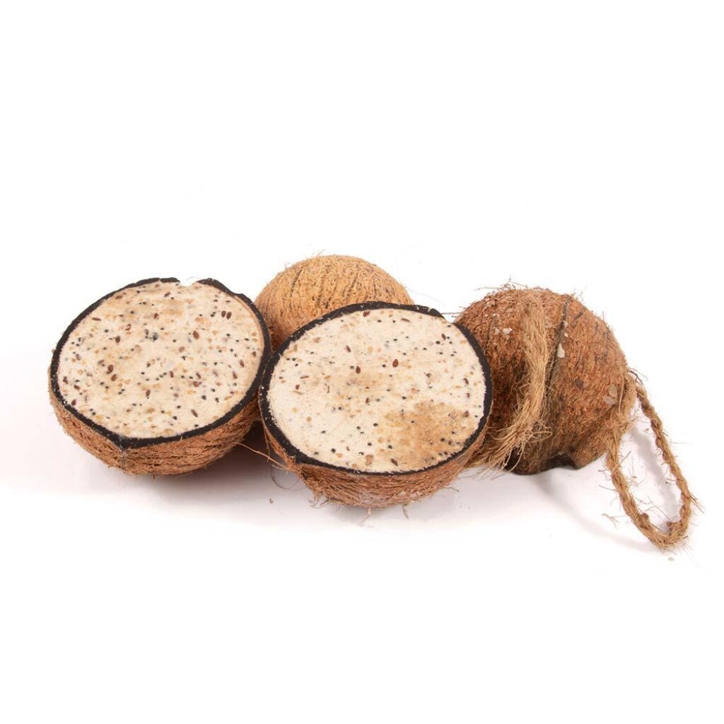 Quatre demi-noix de coco