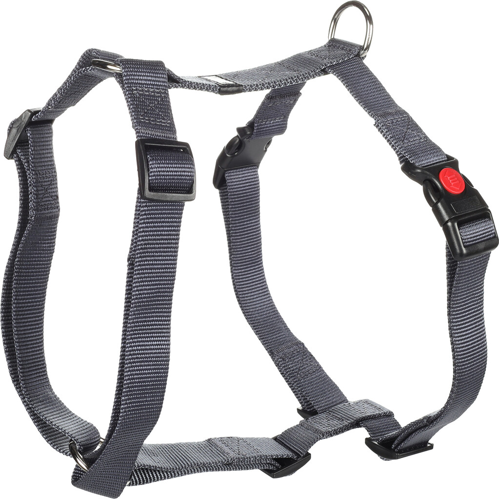 Harnais H ziggi bleu granit L 60-85cm 25mm